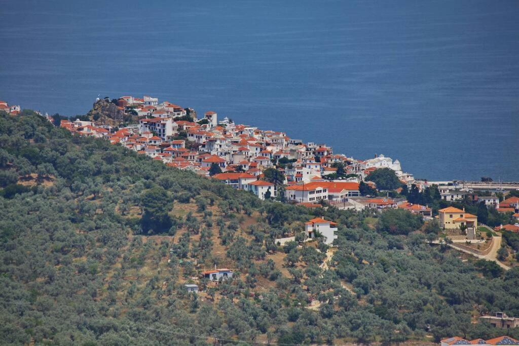 Villa Koukounaria Скопелос Экстерьер фото